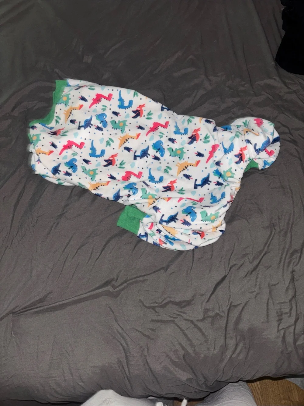 Dog Pajama Onesie - White with Colorful Dinosaur Print
